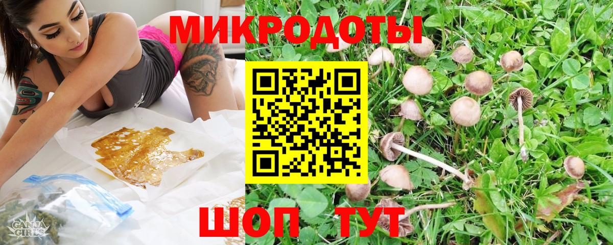 Благодарный  Галлюциногенные грибы ЛСД  Галлюциногенные грибы прущие грибы  Вход с VPN 